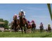  Carrera: P.Teresa Monta: V.Janacek Caballo: Making Time